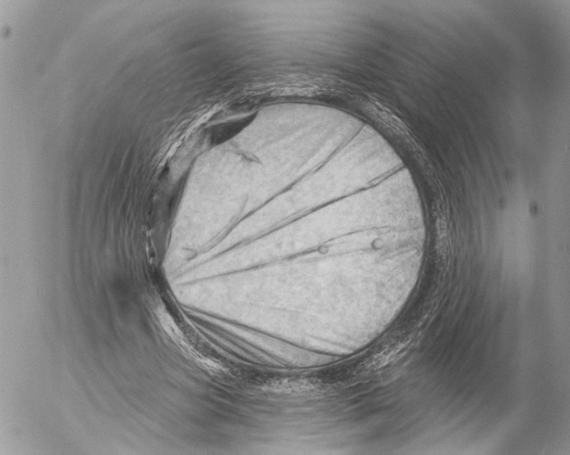 X0000053080537200508081248