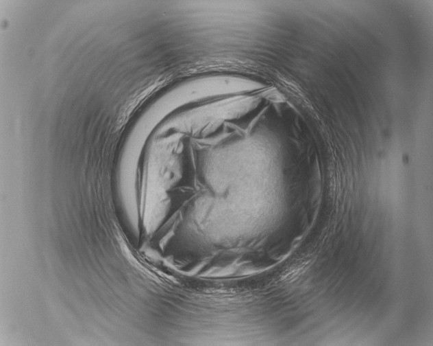 X0000053080538200508081248