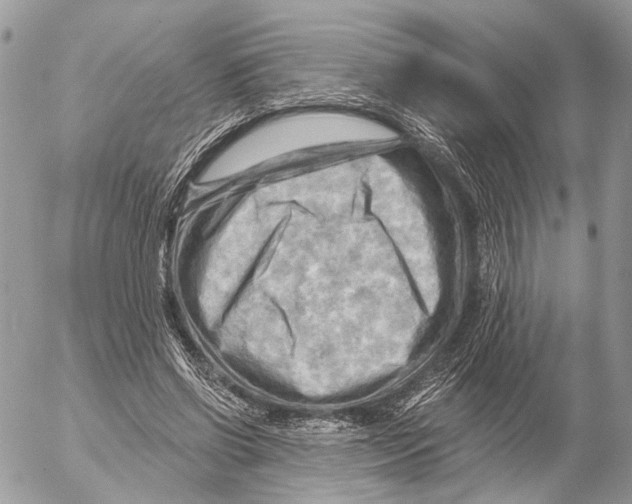 X0000053080542200508081248