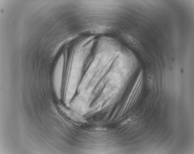 X0000053080543200508081248