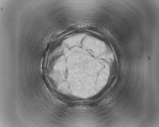 X0000053080545200508081248