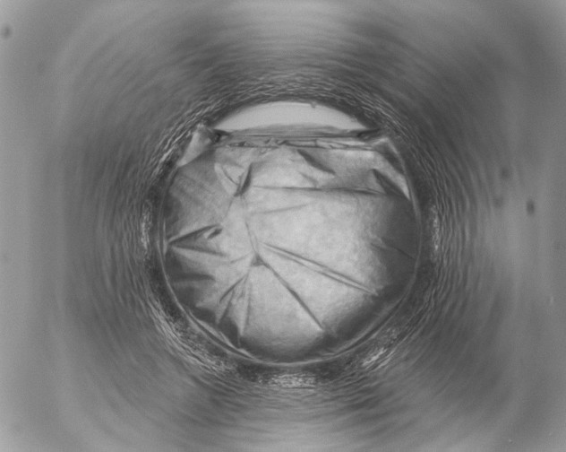 X0000053080546200508081248