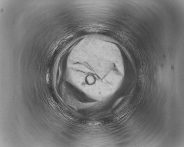 X0000053080547200508081248