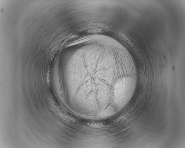 X0000053080549200508081248