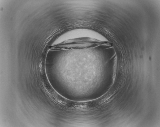 X0000053080552200508081248