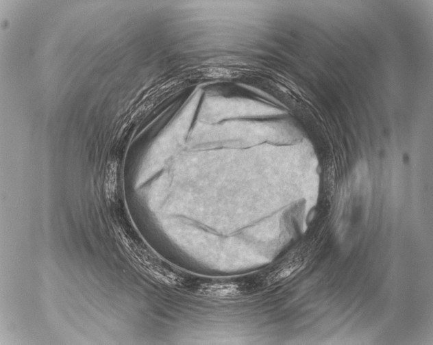 X0000053080554200508081248