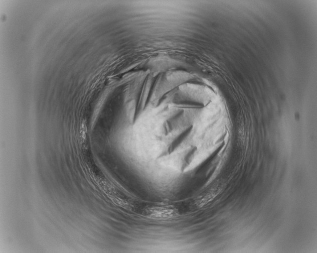 X0000053080555200508081248