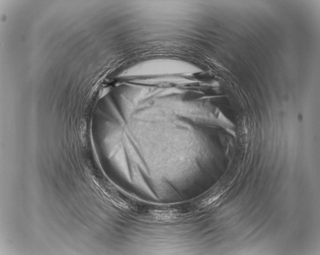 X0000053080556200508081248