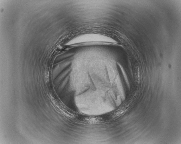 X0000053080558200508081248