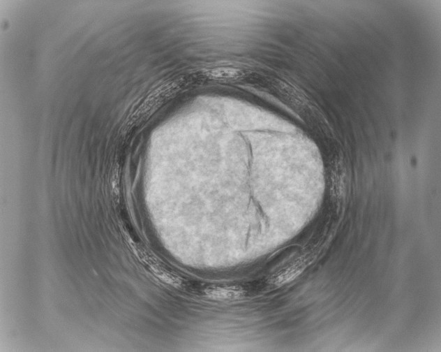 X0000053080561200508081248