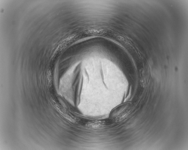 X0000053080563200508081248