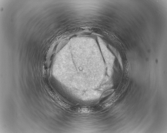 X0000053080565200508081248