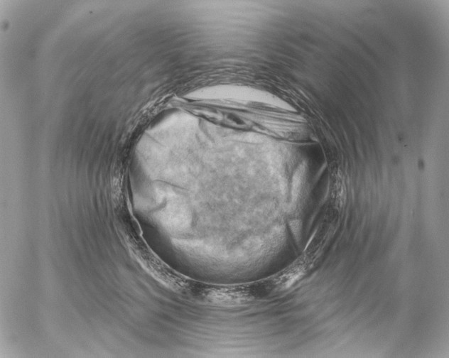 X0000053080568200508081248