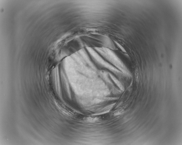 X0000053080570200508081248