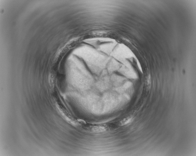 X0000053080572200508081248