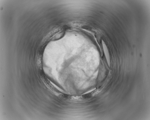 X0000053080573200508081248