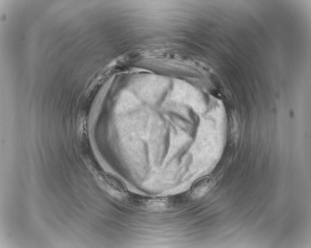 X0000053080574200508081248