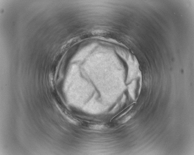 X0000053080575200508081248