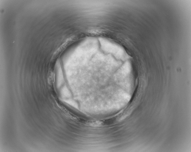 X0000053080576200508081248