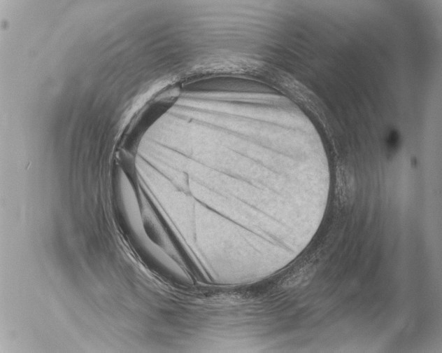 X0000053080578200508081247