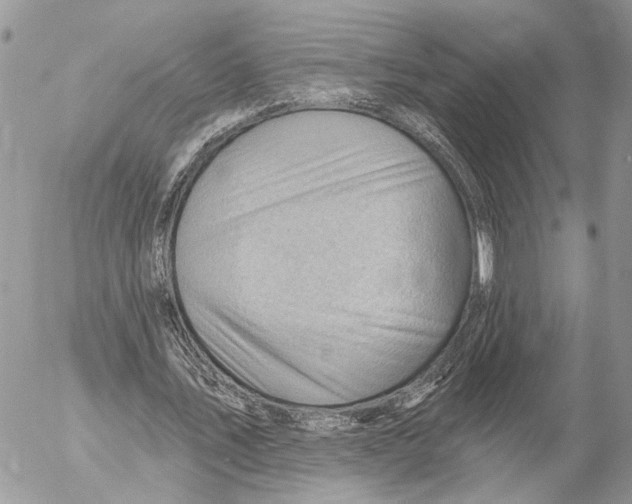 X0000053080579200508081247