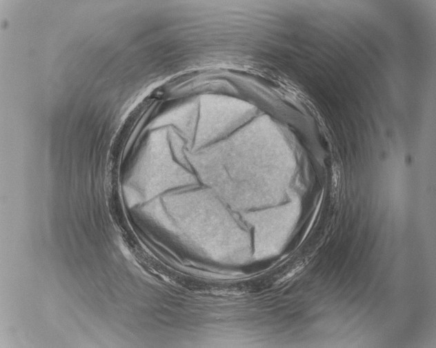 X0000053080580200508081247