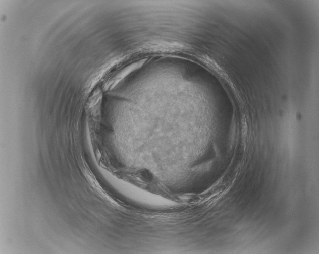 X0000053080581200508081247