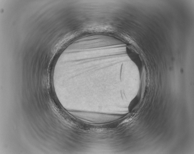 X0000053080582200508081247