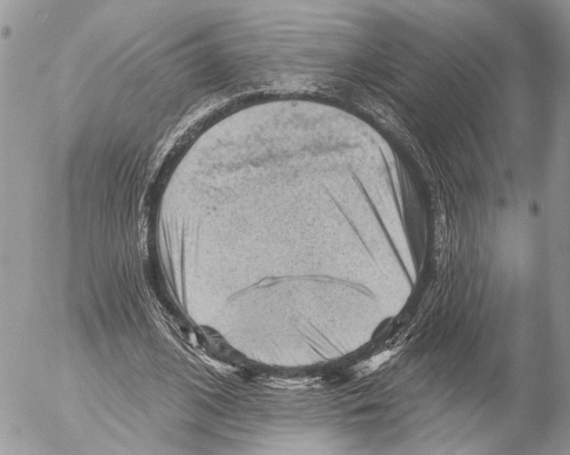 X0000053080584200508081247