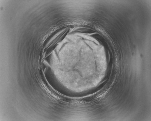 X0000053080585200508081247