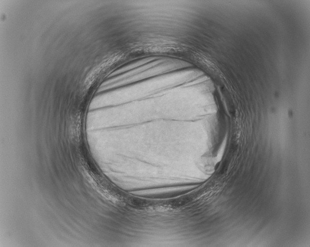 X0000053080586200508081247