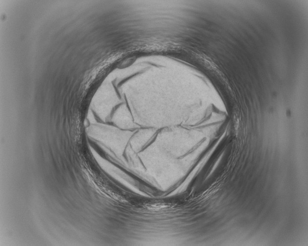 X0000053080588200508081247