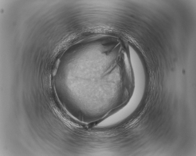 X0000053080589200508081247