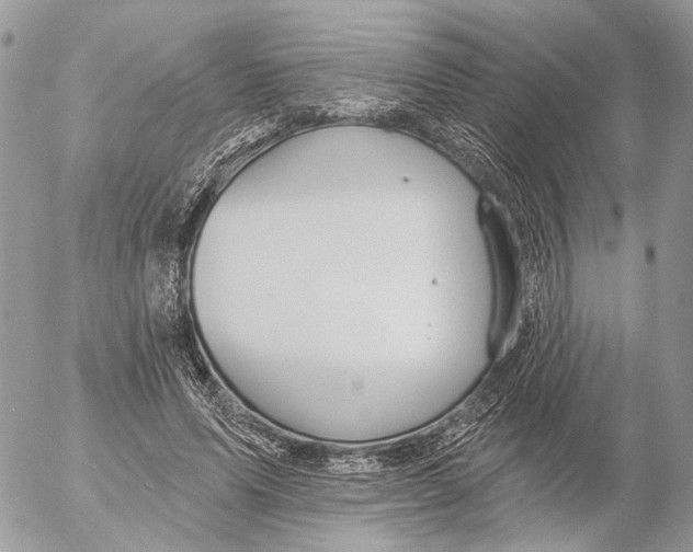 X0000053080591200508081247