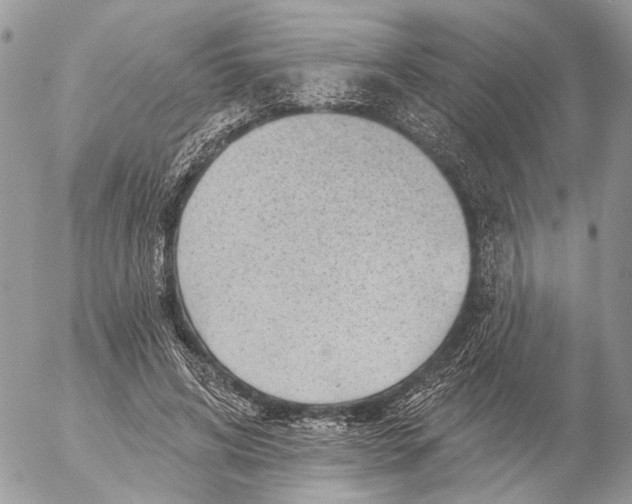 X0000053080592200508081247