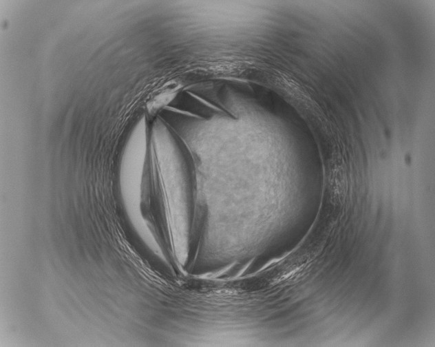 X0000053080593200508081247