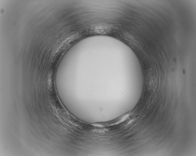 X0000053080595200508081247