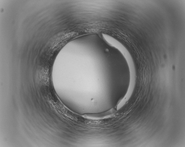 X0000053080599200508081247