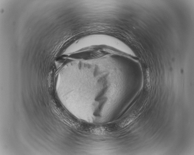 X0000053080600200508081247