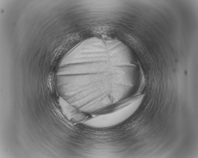 X0000053080601200508081247