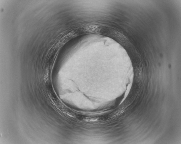 X0000053080602200508081247