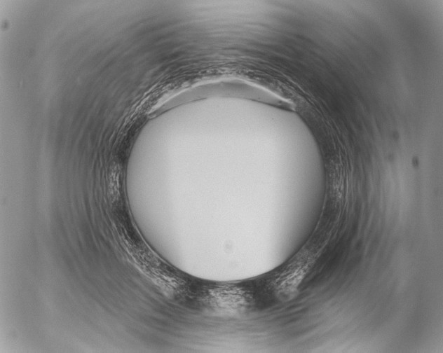 X0000053080603200508081247