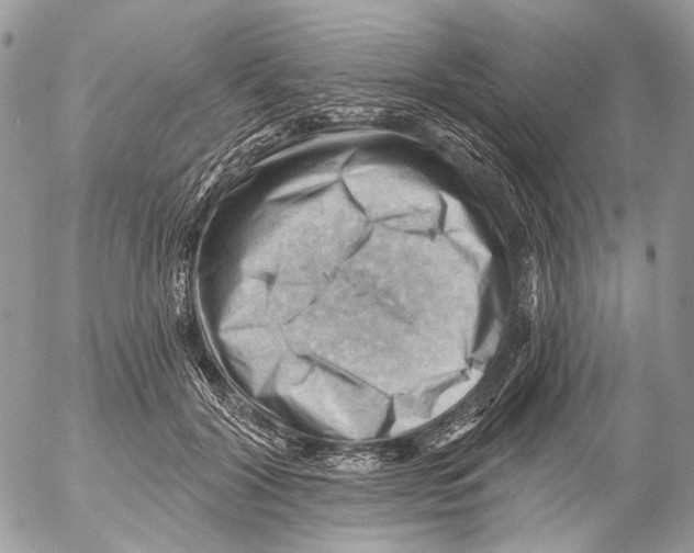 X0000053080604200508081247