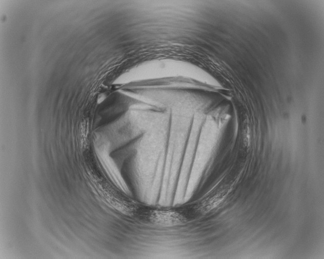 X0000053080605200508081247