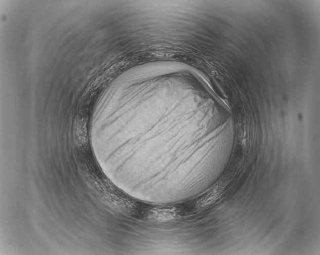 X0000053080606200508081247