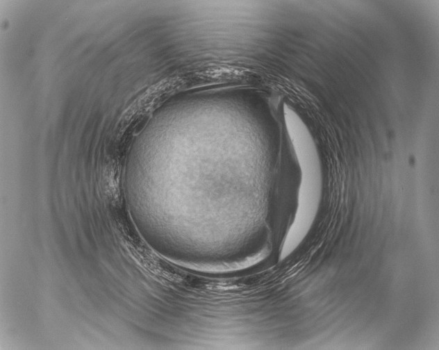 X0000053080607200508081247