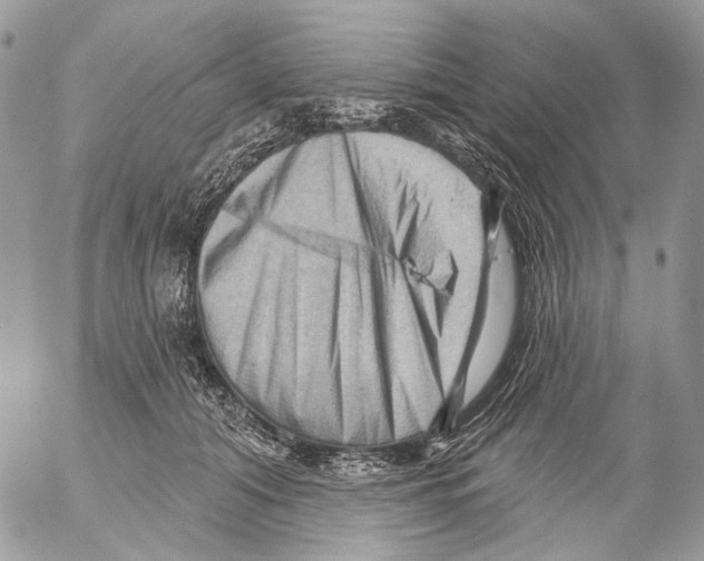 X0000053080608200508081247