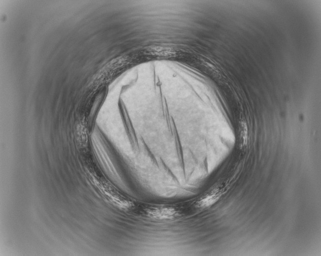 X0000053080609200508081247