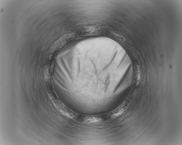 X0000053080611200508081247