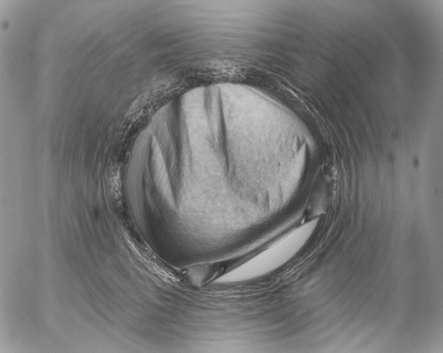 X0000053080613200508081247